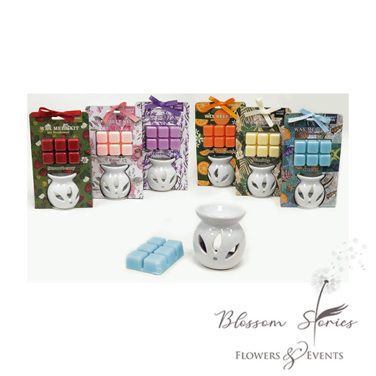 Αρωματιστης με Δωρο wax melts