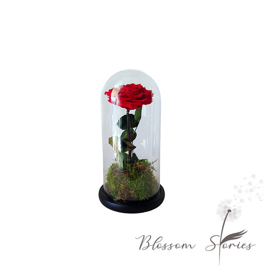 Forever rose red