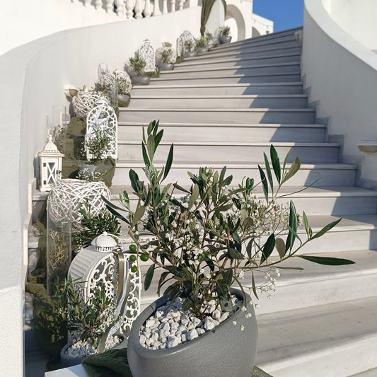 🌿 Γάμος στον Προφήτη Ηλία Κερατέας & δεξίωση στο Κτήμα Αρσινόη