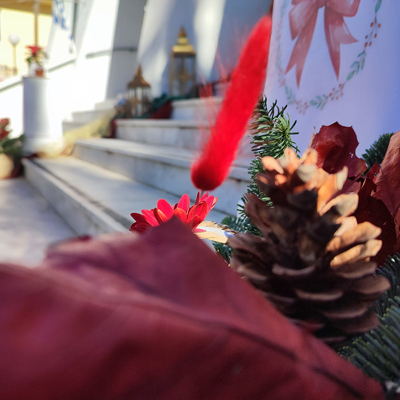 Χριστουγεννιάτικος Στολισμός Βάπτισης για Κορίτσι στην Ζωοδόχο Πηγή Αλιμου